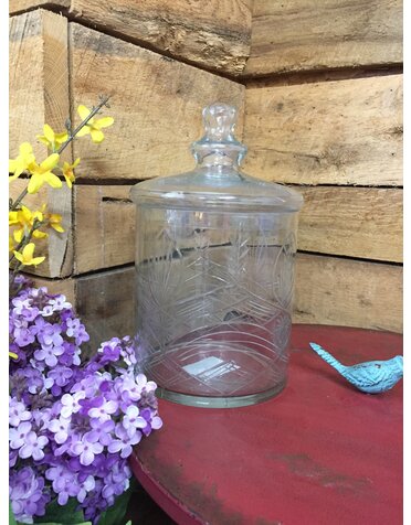 10.5" Clear Glass Etched Lidded Container