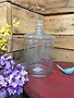 10.5" Clear Glass Etched Lidded Container