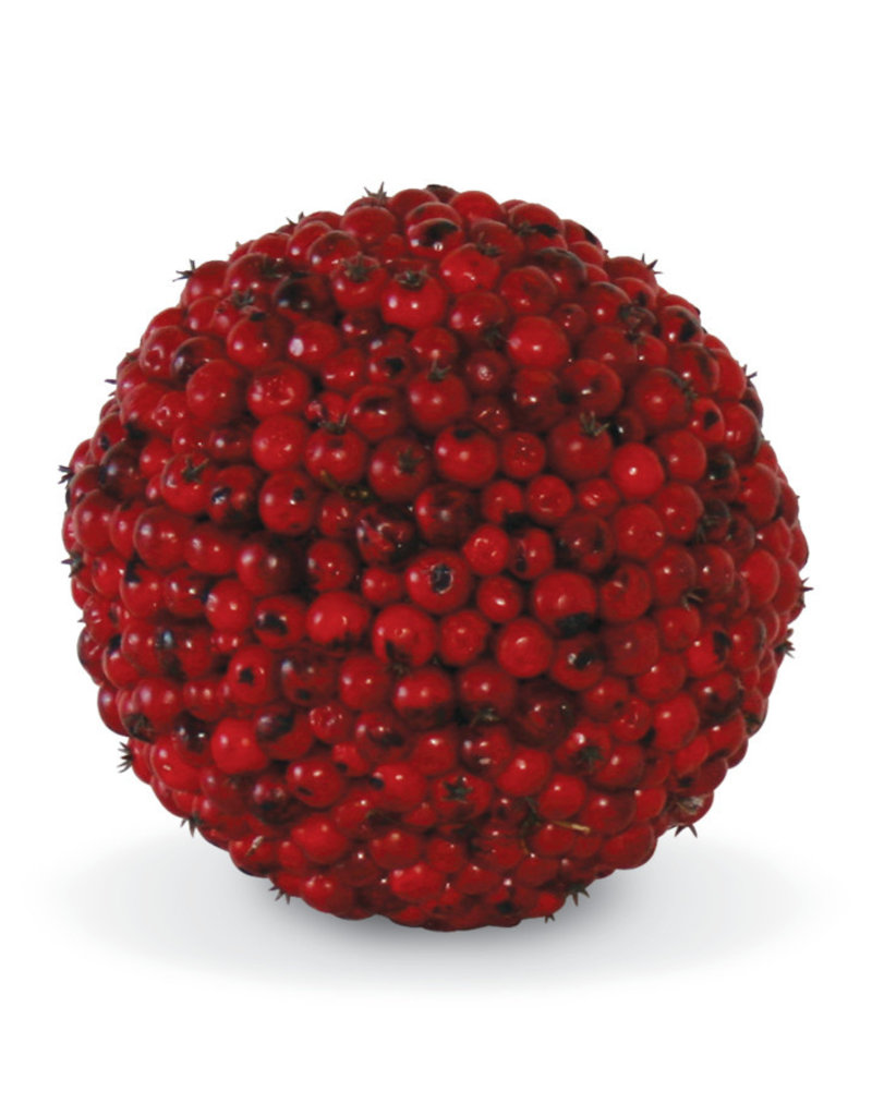 Red Berry Ball 5.5 "