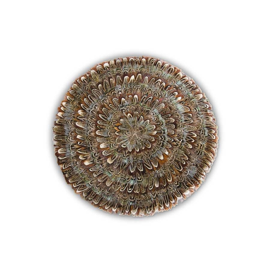 12" Round Brown & Aqua Trim Feather Coaster