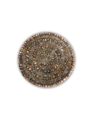 12" Round Brown & Aqua Trim Feather Coaster