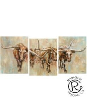 Longhorn Canvas 3/A