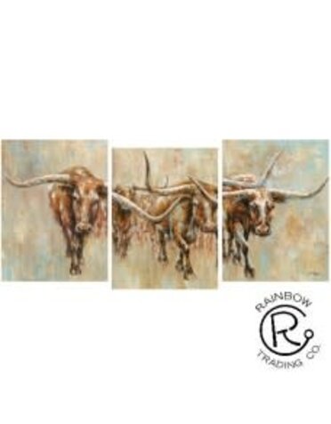 Longhorn Canvas 3/A