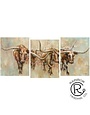 Longhorn Canvas 3/A