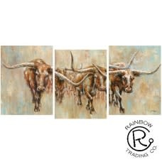 Longhorn Canvas 3/A
