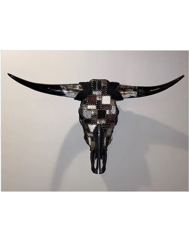 Longhorn  "Rodeo II"