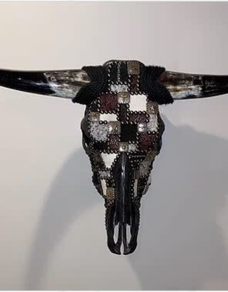 Longhorn  "Rodeo II"