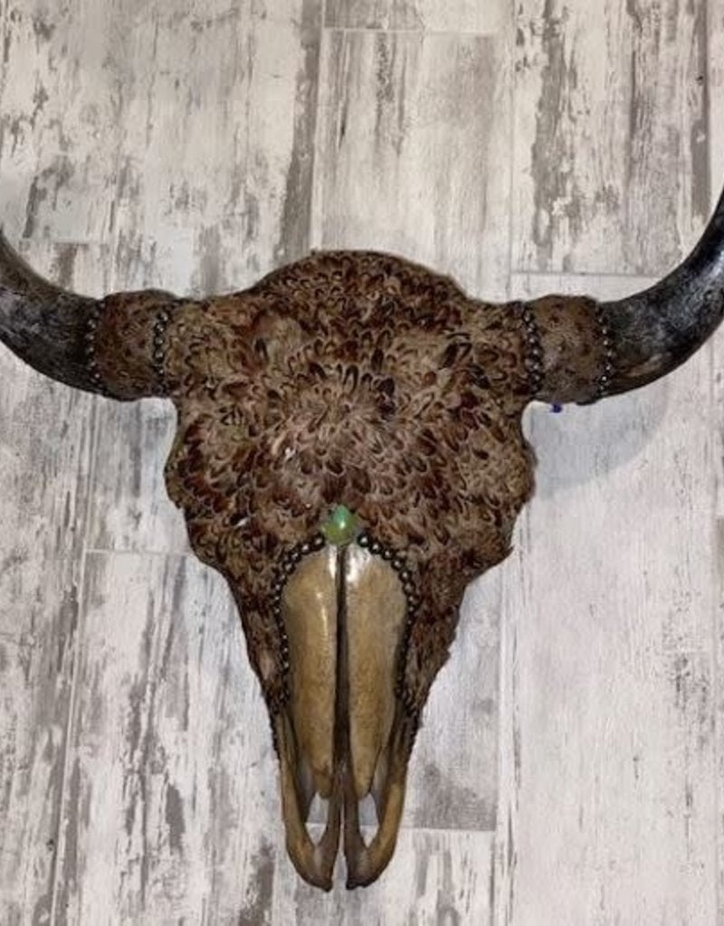 Bison Skull "Saffron"