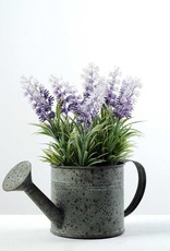 8.5" Tin Watering Can with Lavender