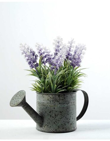 8.5" Tin Watering Can with Lavender