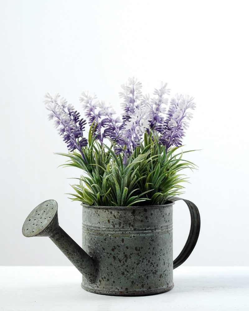 8.5" Tin Watering Can with Lavender