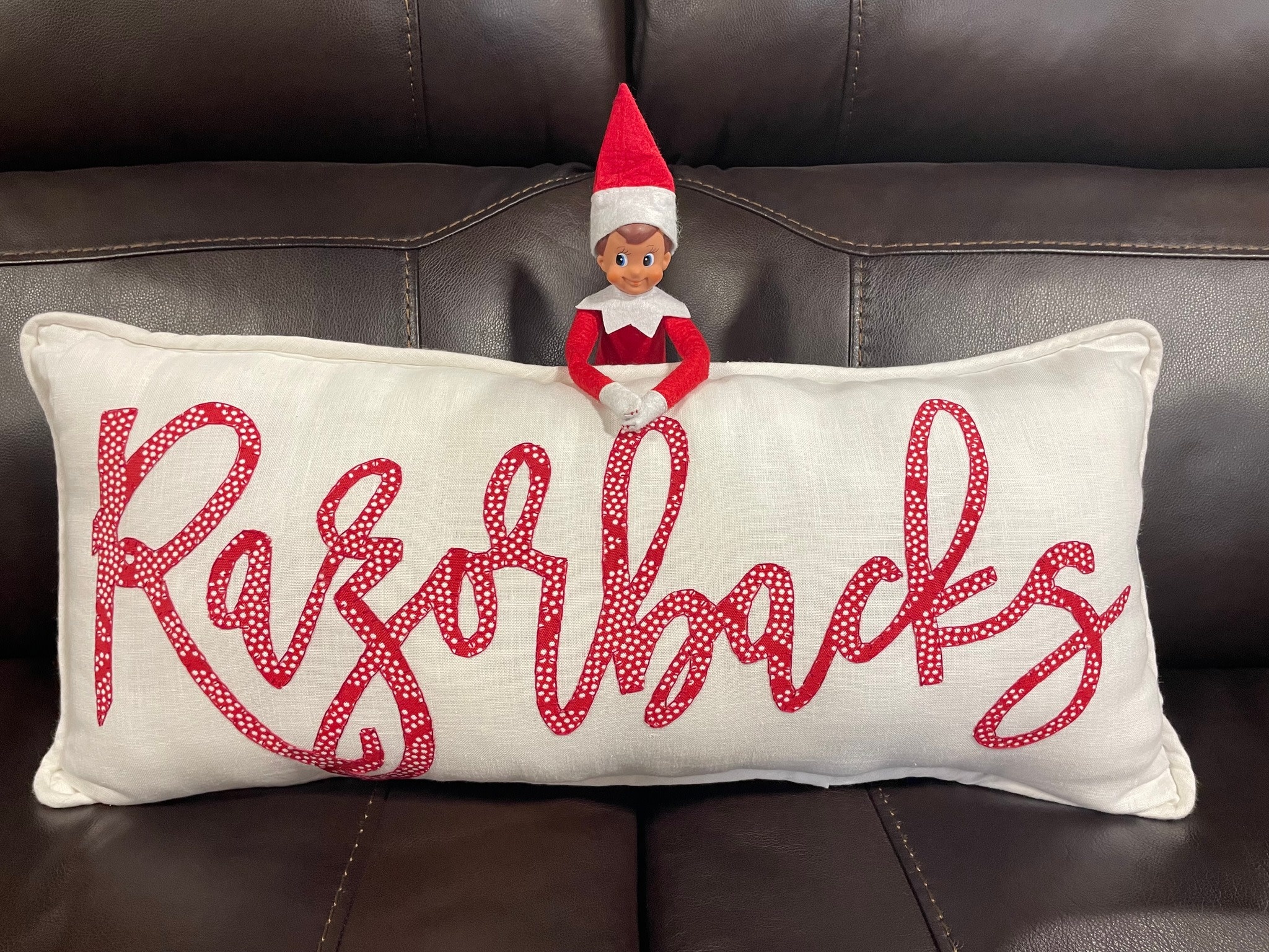 Arkansas Pillows