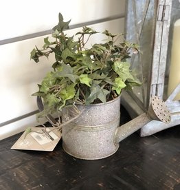 10" Tin Watering Can with Ivy