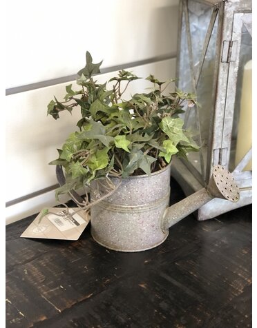 10" Tin Watering Can with Ivy