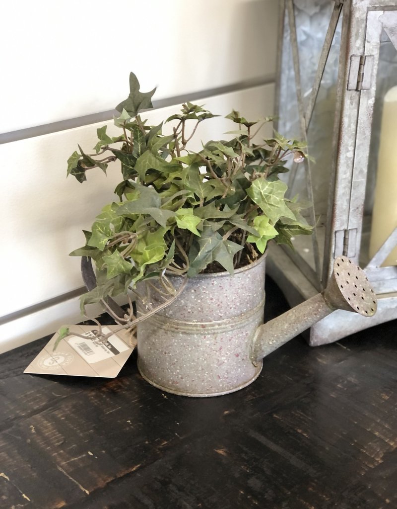 10" Tin Watering Can with Ivy