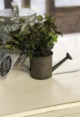 7" Tin Watering Can with Ivy