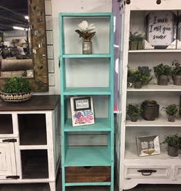 Ladder Bookcase - Aqua