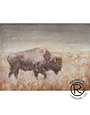 Walking Buffalo 36 x 48 Canvas
