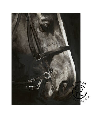 Horse Portrait Canvas 36 x 48