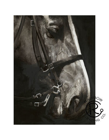 Horse Portrait Canvas 36 x 48
