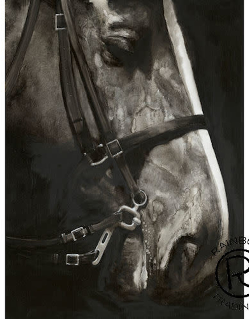 Horse Portrait Canvas 36 x 48