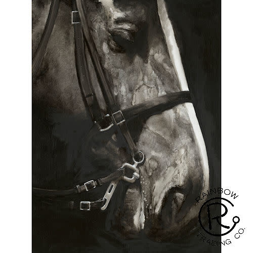 Horse Portrait Canvas 36 x 48