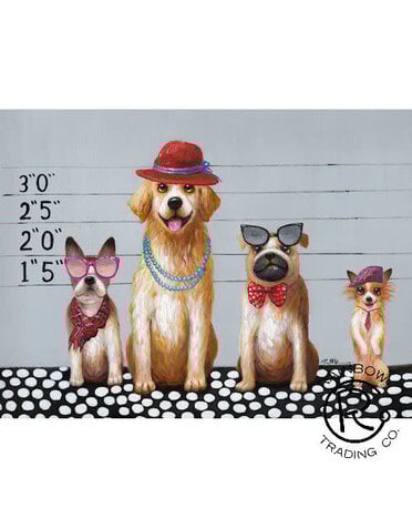 Four Lineup Dogs 36x48 Canvas