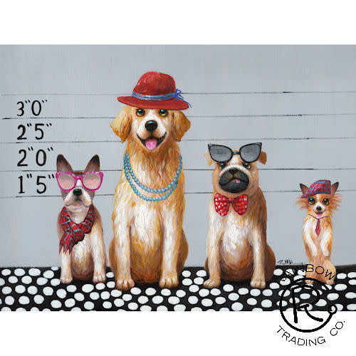 Four Lineup Dogs 36x48 Canvas
