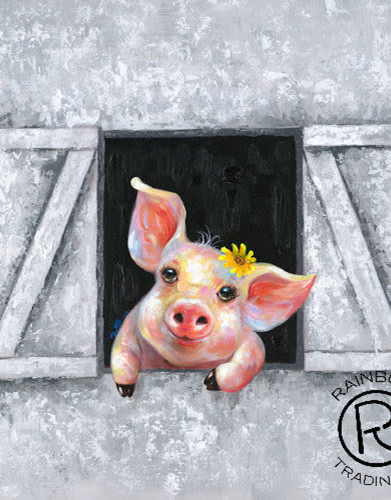 Pig in the farm 32 x 32 Canvas