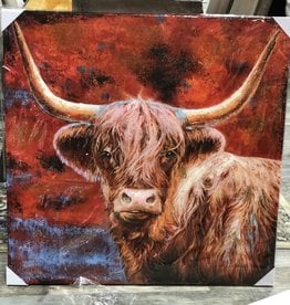 Longhorn Red Canvas 40 X 40