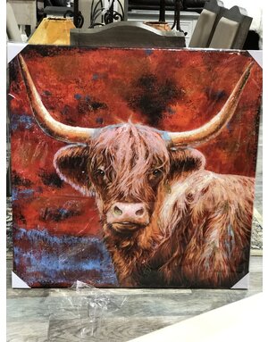 Longhorn Red Canvas 40 X 40