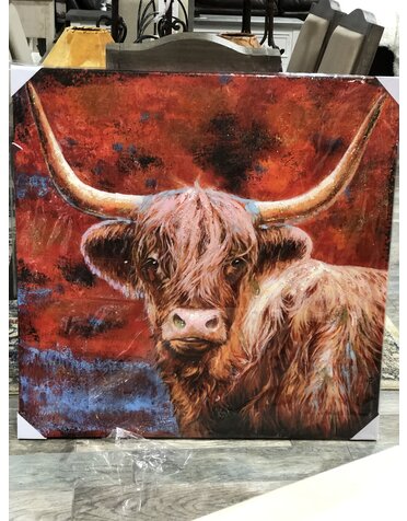 Longhorn Red Canvas 40 X 40