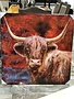 Longhorn Red Canvas 40 X 40