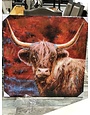 Longhorn Red Canvas 40 X 40