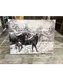 Black and white longhorns 48 x 36 Canvas