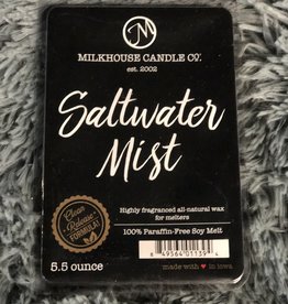 Large Fragrance Melts - Saltwater Mist