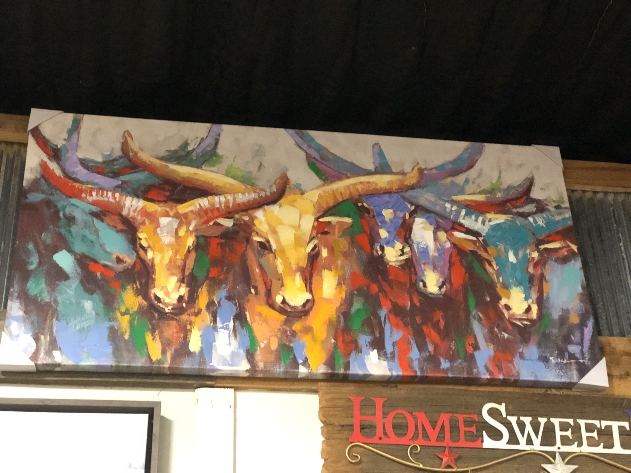Colorful Bull Herd  28 X 56 Canvas