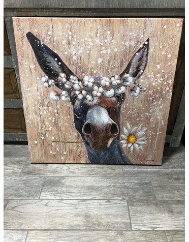 Donkey Canvas