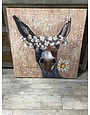 Donkey Canvas