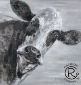 Curious Cow Canvas 40 X 40