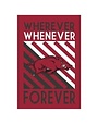 University of Arkansas, WWF Flag