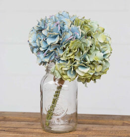 Hydrangea Bundle Blue Green Combo