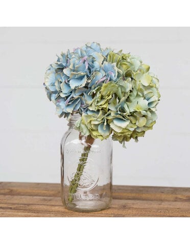 Hydrangea Bundle Blue Green Combo