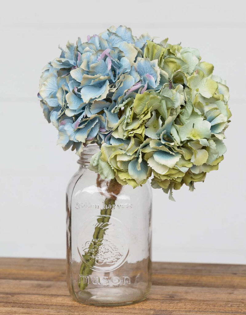 Hydrangea Bundle Blue Green Combo