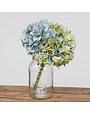 Hydrangea Bundle Blue Green Combo