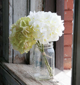 Hydrangea Bundle, Crm/Grn