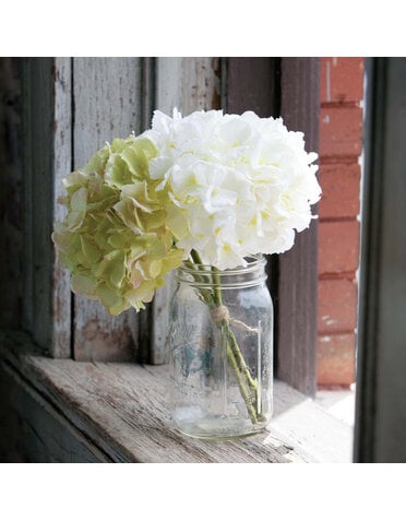 Hydrangea Bundle, Crm/Grn