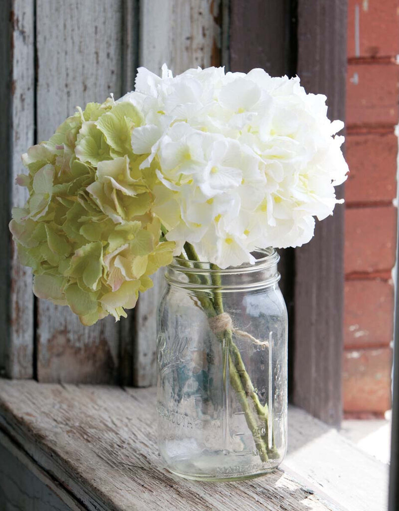 Hydrangea Bundle, Crm/Grn
