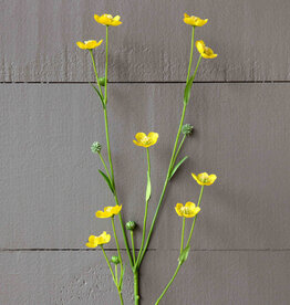 Prairie Flower Yellow