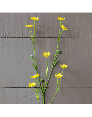 Prairie Flower Yellow